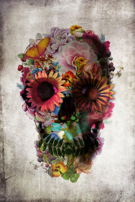 Floral Skull Illustration