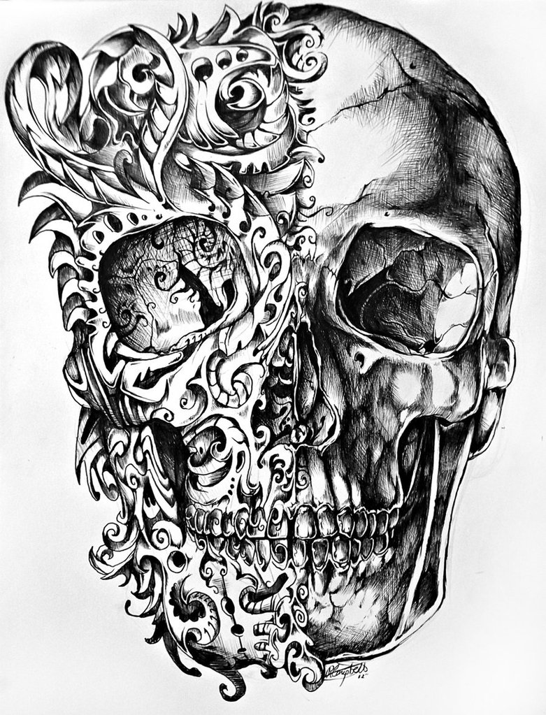 Skull drawings by René Campbell 1