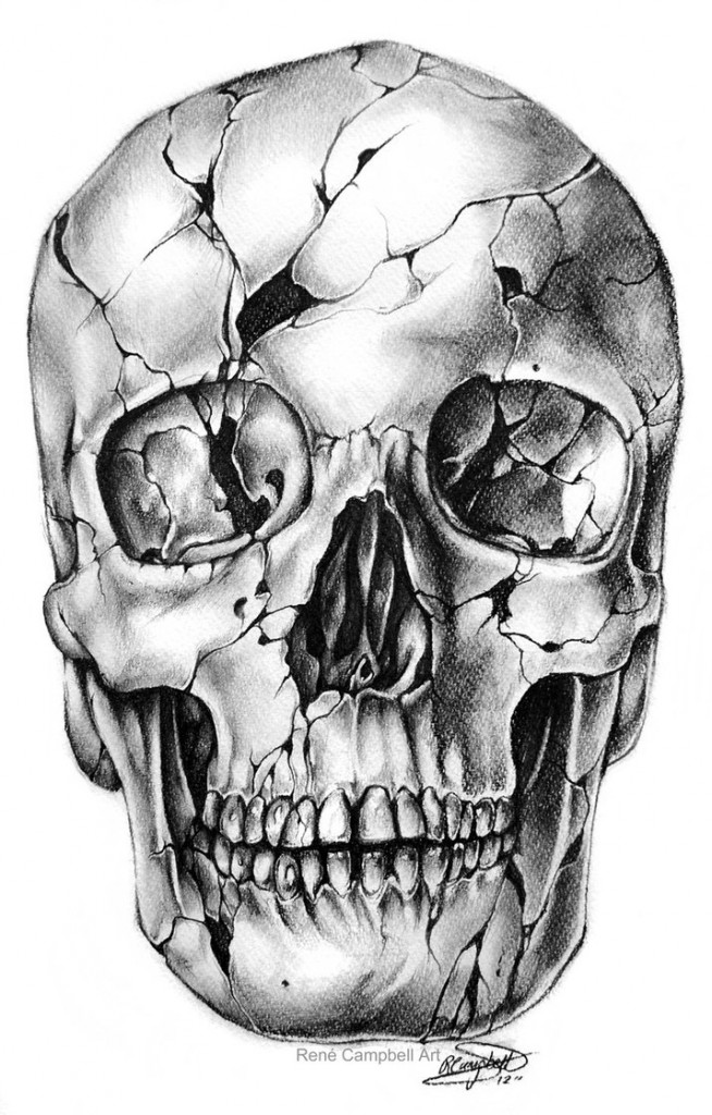 Skull drawings by René Campbell