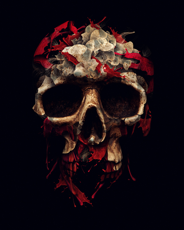 Skull illustration by Alberto Seveso 1