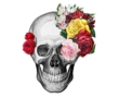Alexander McQueen skull collection