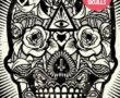 Skull illustrations by Fran Cáceres Beffermann