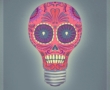 Skull Portraits by Nicolas Obery
