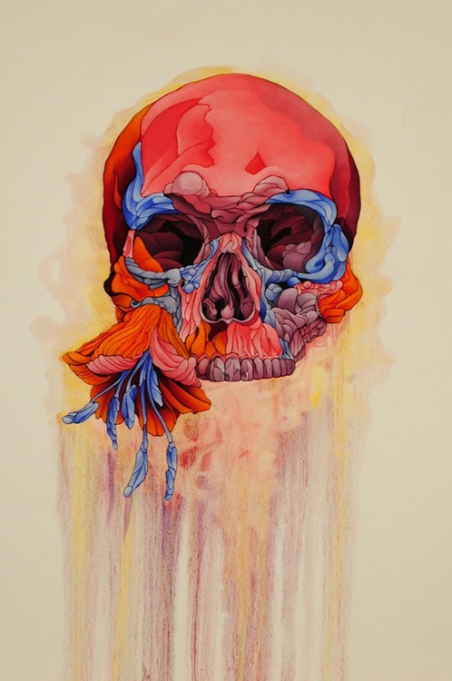Flower and Skull Study
