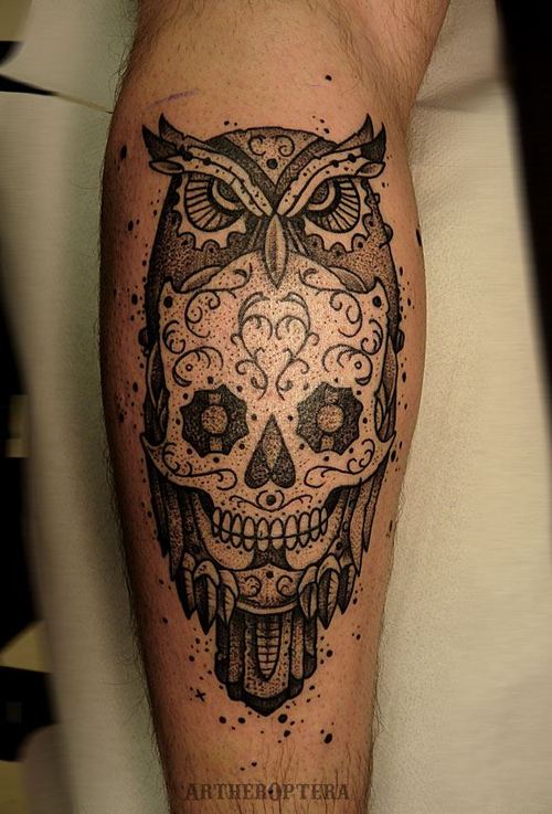 Owl and skull 