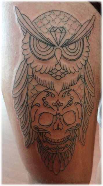 OwlSkull