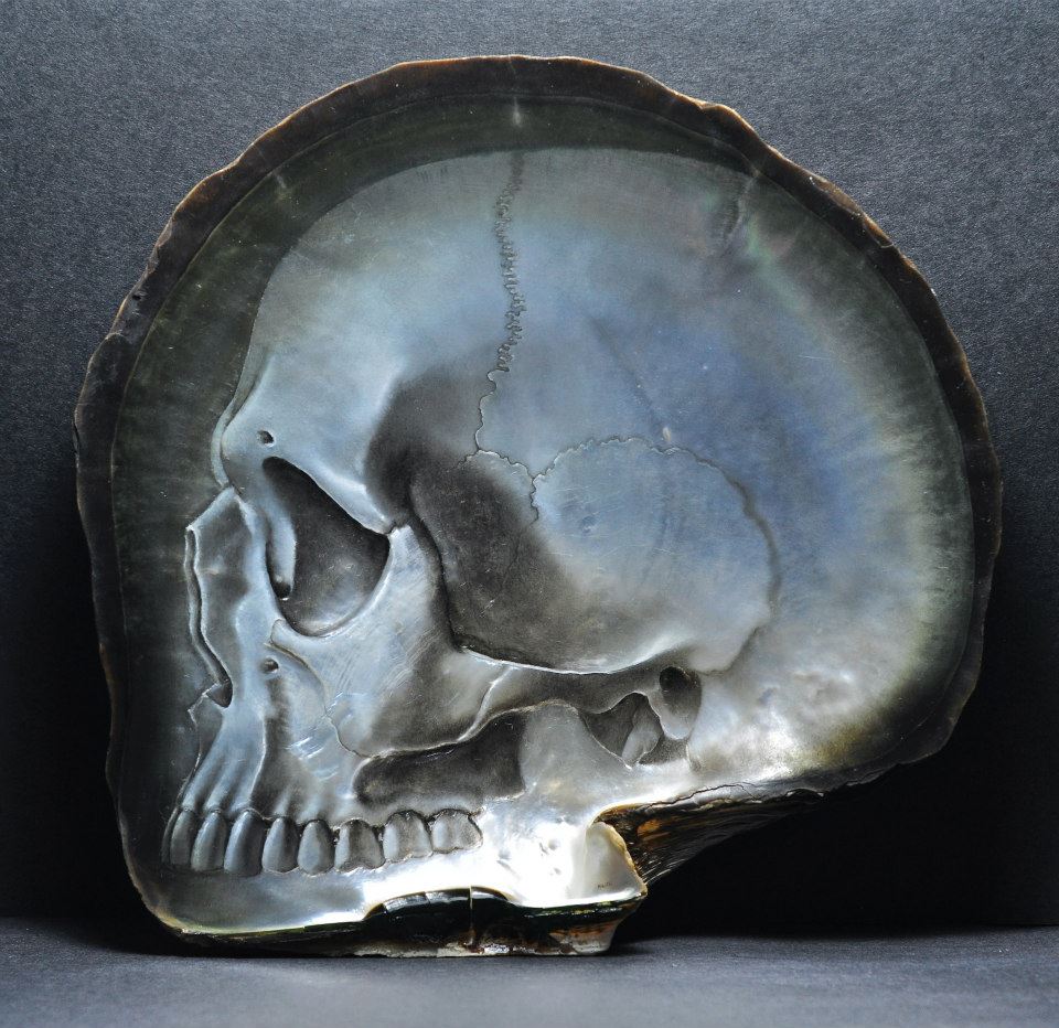Skull Shell