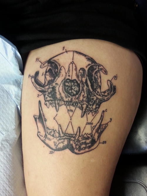 cat skull tattoo (3)