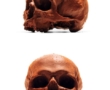 Skull Tattoos of Louis Loveless