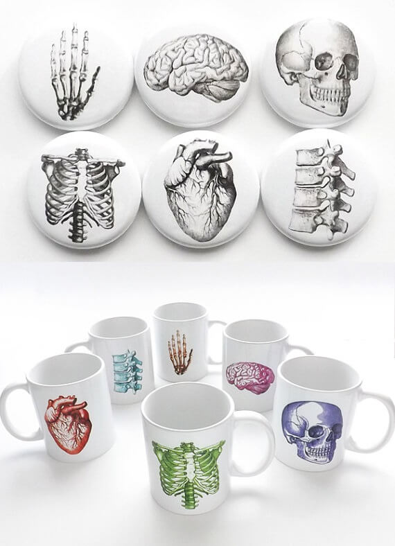 Art Altered Anatomy Collection